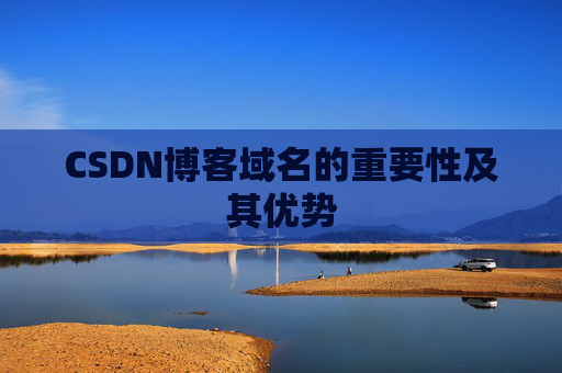 CSDN博客域名的重要性及其优势